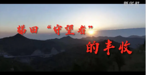 a14259fea2814cd98b66f5633c3d159c.png image.png