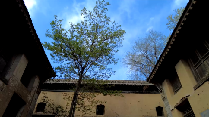 c81a7f2d93a4470583307851a321f3b4.png 3333.png